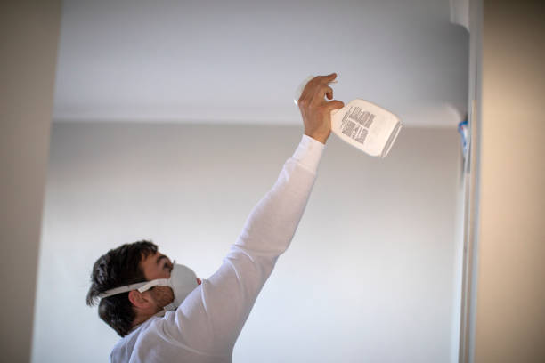 Best Professional Mold Removal  in Eagle Mountain, UT