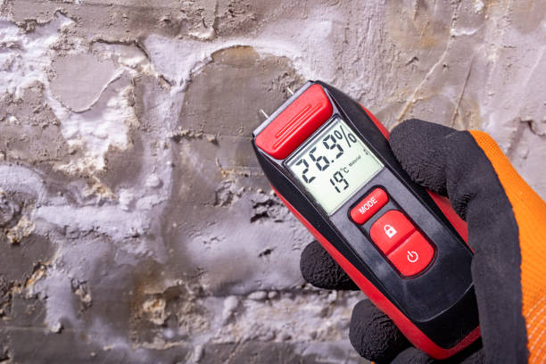 Best Local Mold Removal Service  in Eagle Mountain, UT