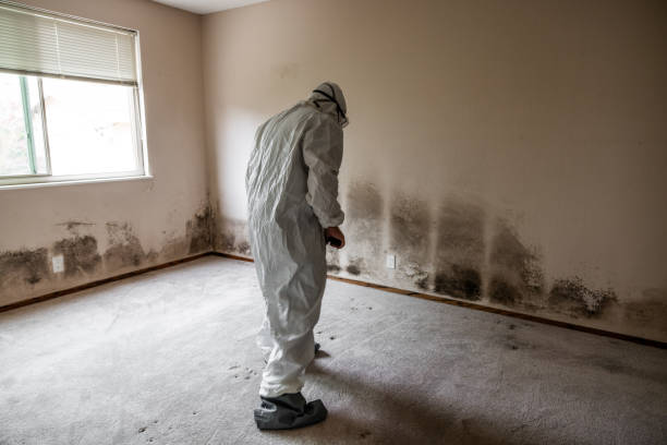 Best Mold Testing  in Eagle Mountain, UT